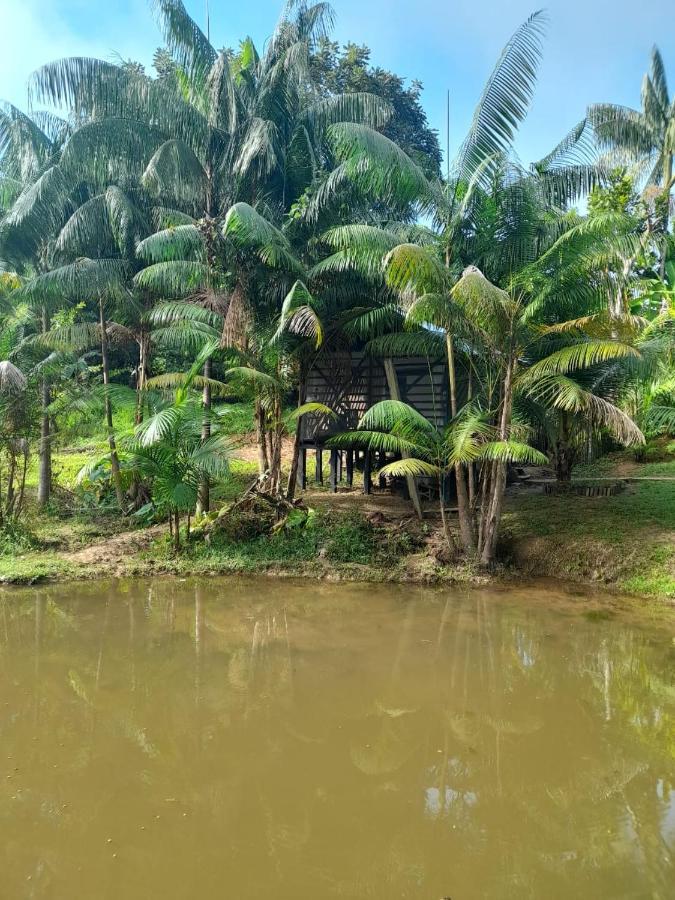Cabanas Dechi Puerto Nariño Eksteriør billede