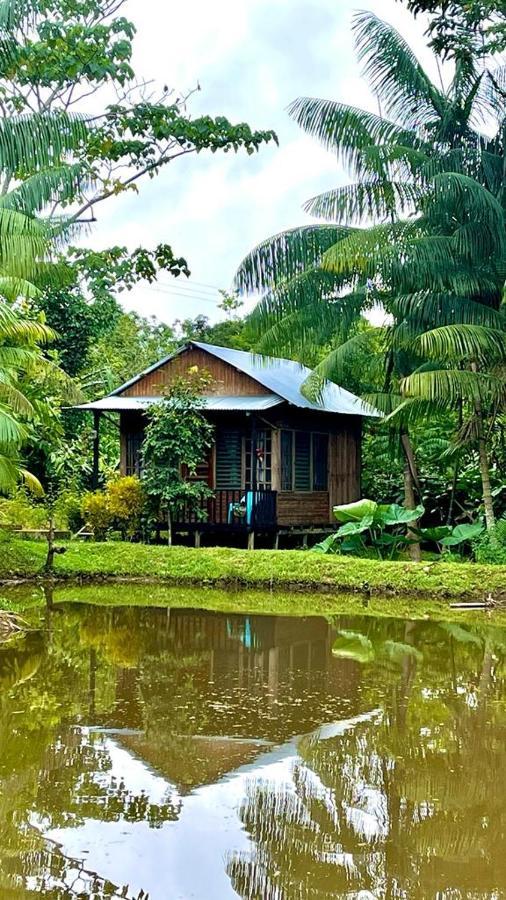 Cabanas Dechi Puerto Nariño Eksteriør billede