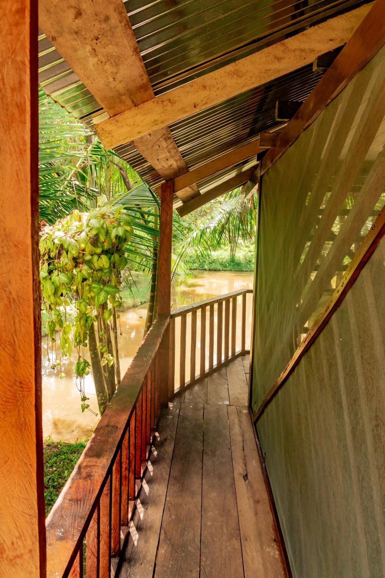 Cabanas Dechi Puerto Nariño Eksteriør billede